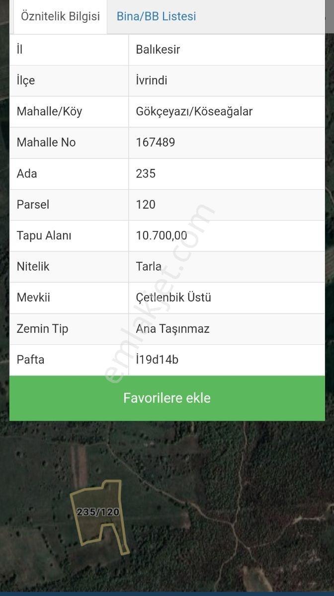 Balıkesir Mir'den Gökçeyazı/köseağalar 10.700m2 Tarla Satılık - Görsel 3