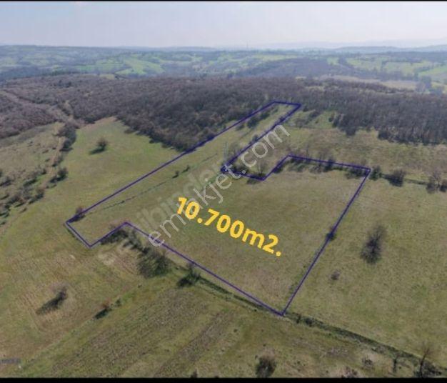 Balıkesir Mir'den Gökçeyazı/köseağalar 10.700m2 Tarla Satılık - Görsel 12