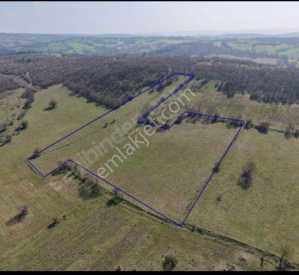 Balıkesir Mir'den Gökçeyazı/köseağalar 10.700m2 Tarla Satılık - Görsel 4