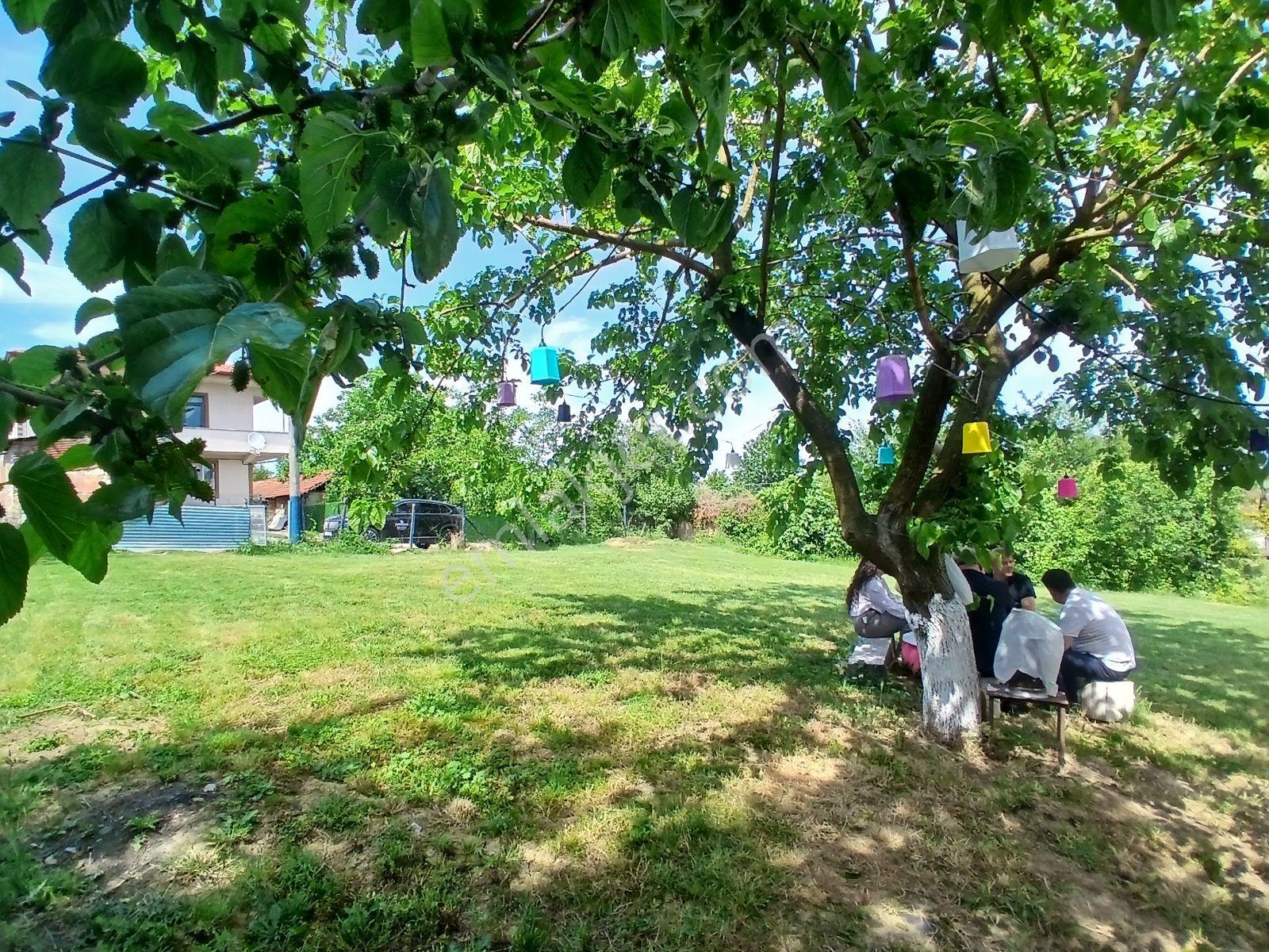 Tarcanlar Akmeşe'den 480 Metre Müstakil Satılık Arsa - Görsel 4