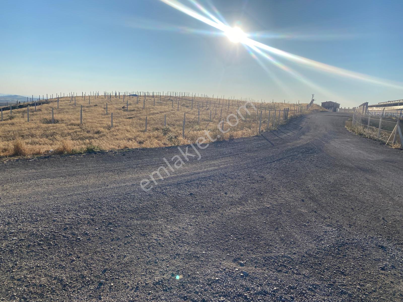 -*akyurt Teberik De Yol Kenarı Tek Tapu** - Görsel 9
