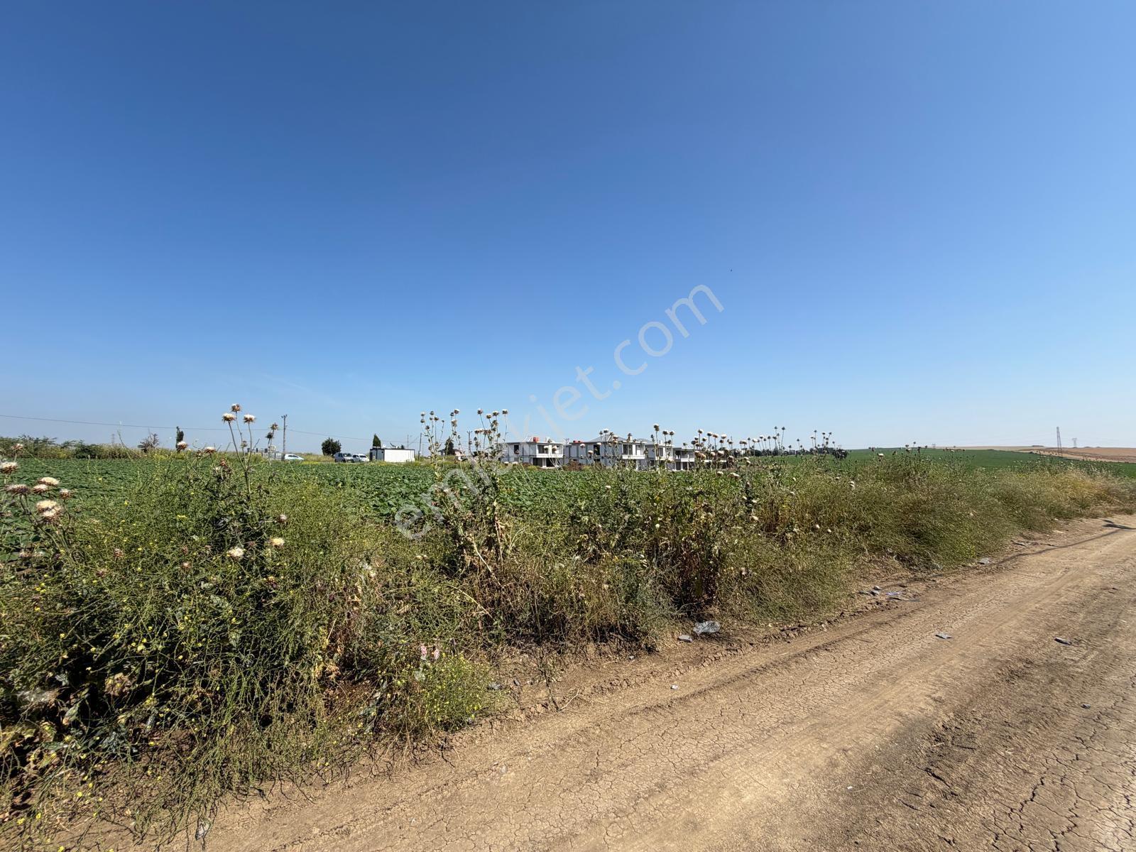 Tekirdağ Çorlu Yenice De 307 Metre İmarlı Müstakil Arsa - Görsel 7