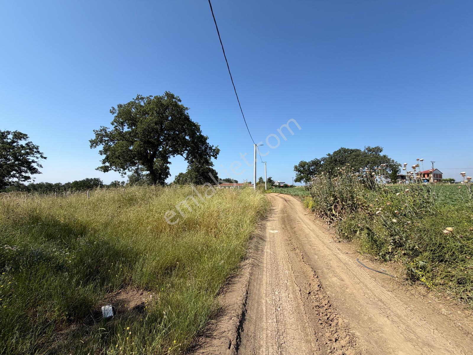 Tekirdağ Çorlu Yenice De 307 Metre İmarlı Müstakil Arsa - Görsel 5