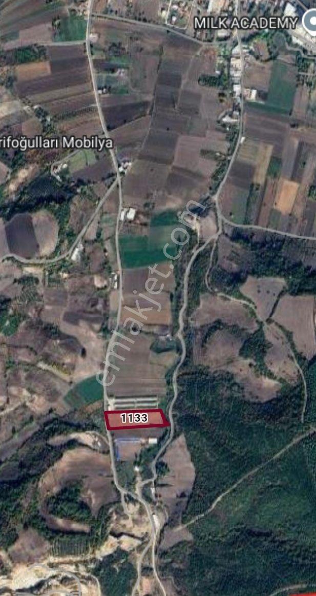 Mustafakemalpaşa Yalıntaş Ta Satılık Arazi - Görsel 2