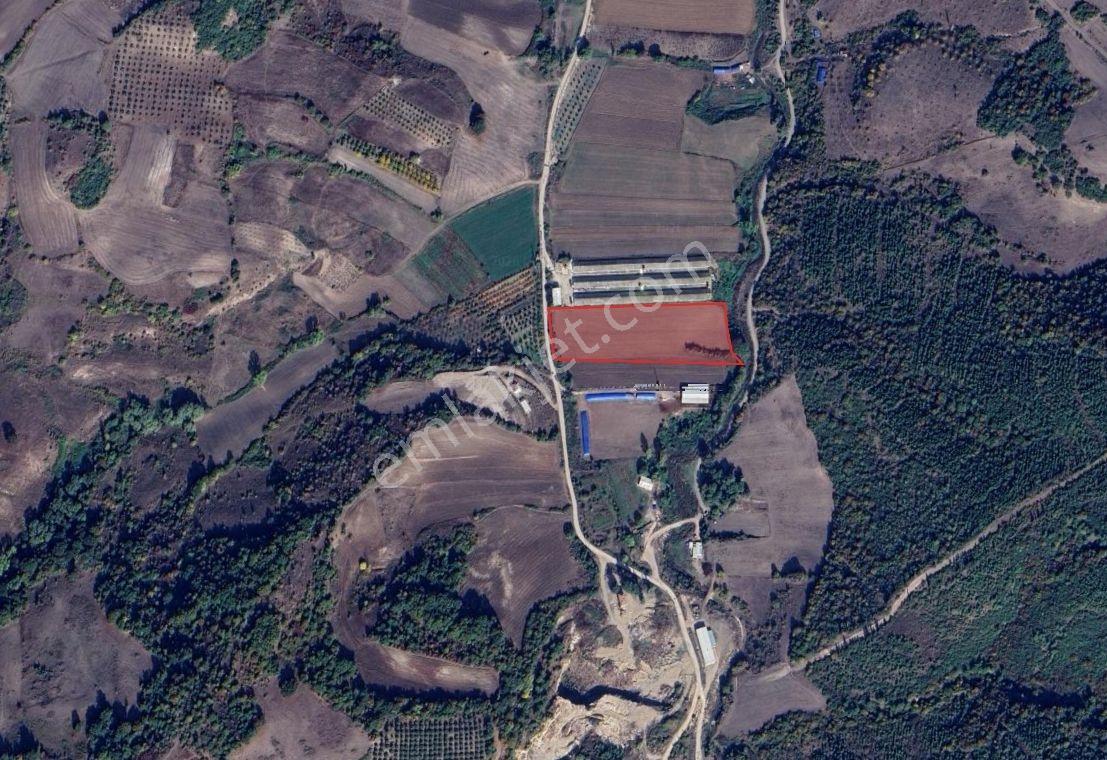 Mustafakemalpaşa Yalıntaş Ta Satılık Arazi - Görsel 3