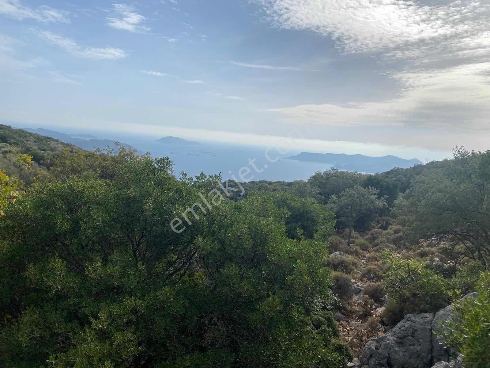 Antalya Kaş Ta Rızai Taksim Mi Yapılmış 500 Metre² Tarla - Görsel 2
