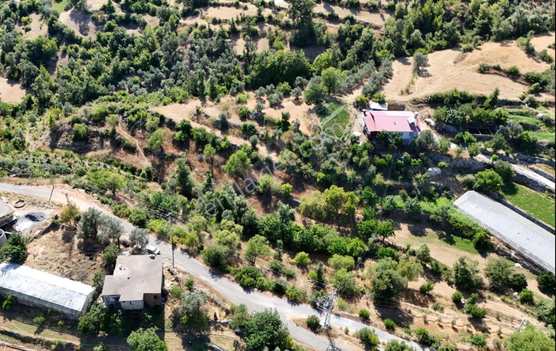 Köyiçinde Asfalt Cephelı Ev Yapımına Uygun Tarla - Görsel 6