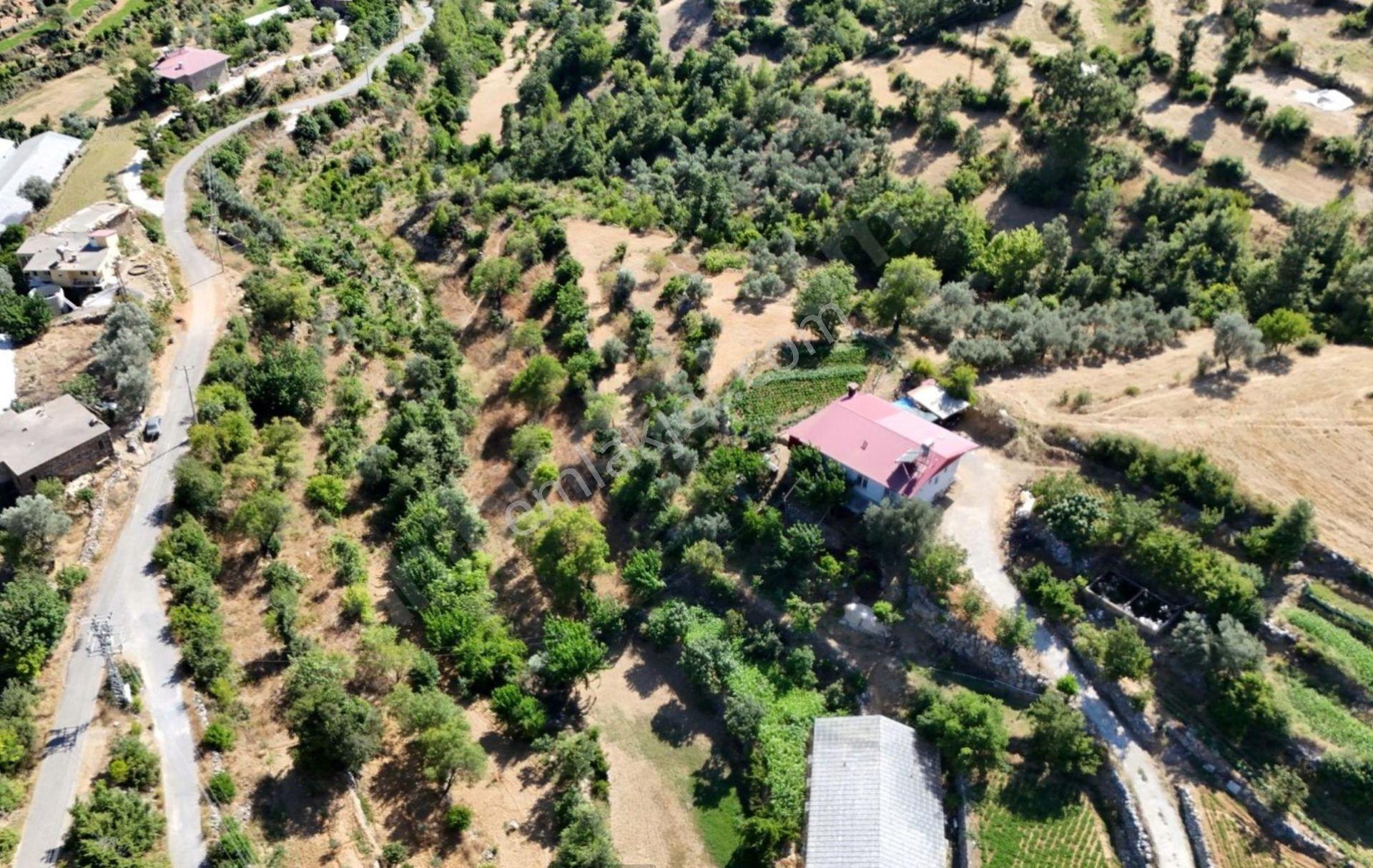 Köyiçinde Asfalt Cephelı Ev Yapımına Uygun Tarla - Görsel 5