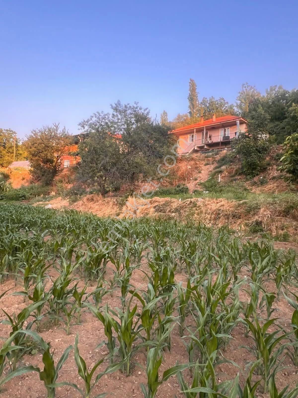 Aydın / Nazilli – Aşağıyakacık Mahallesi’nde Satılık İmarlı Arsa - Görsel 4