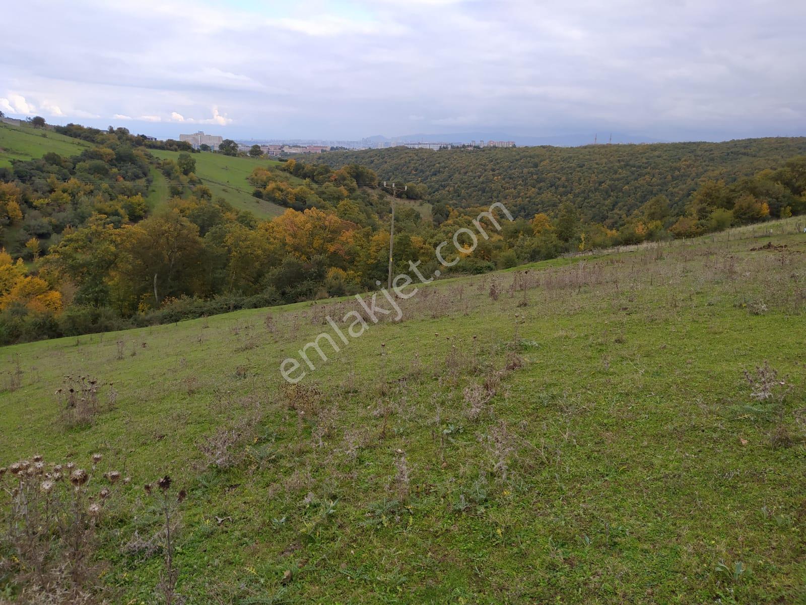 Akgün Kurumsal'dan Atakum İncesu'da Deniz Manzaralı Villalık 3072 Metre Kare Arsa - Görsel 54