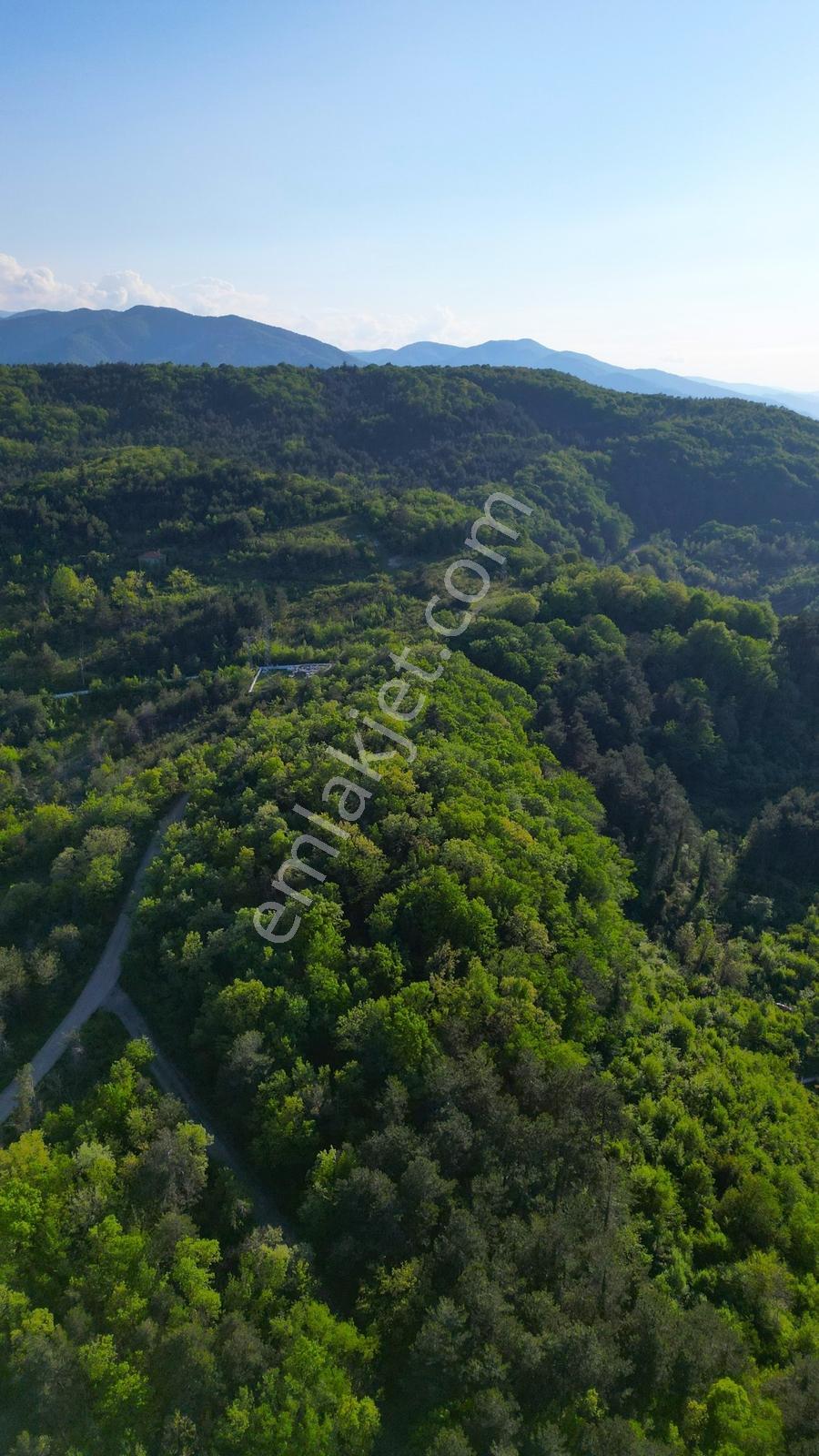 █abana'da Harika Konumda 7887 M2 Konut+turizm+ticari İmarlı Arsa - Görsel 19