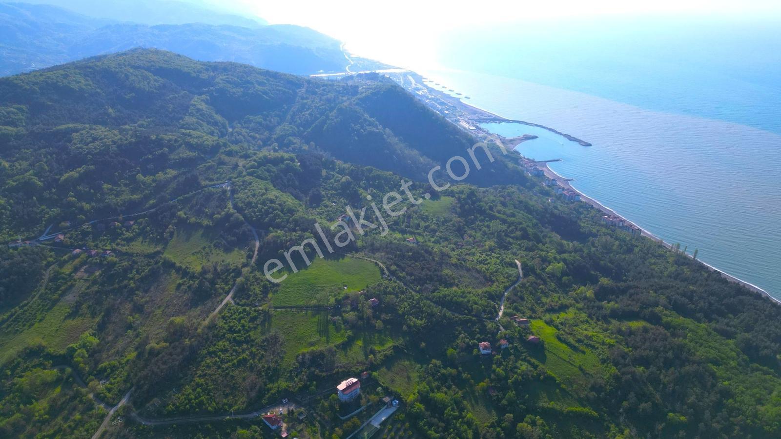█abana'da Harika Konumda 7887 M2 Konut+turizm+ticari İmarlı Arsa - Görsel 12