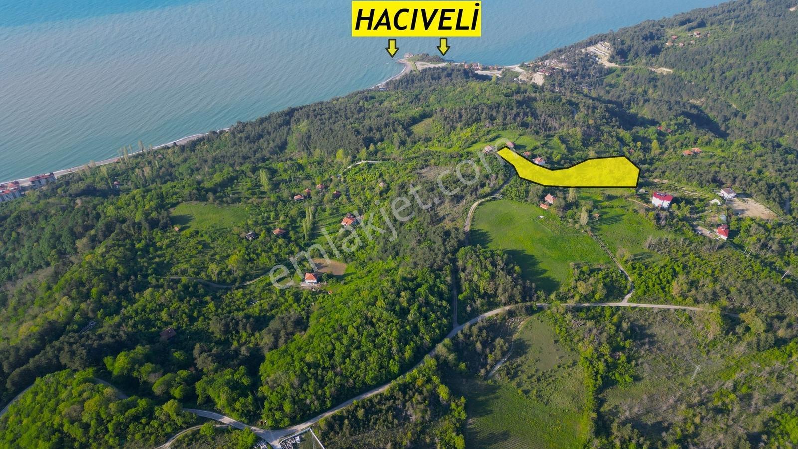 █abana'da Harika Konumda 7887 M2 Konut+turizm+ticari İmarlı Arsa - Görsel 9