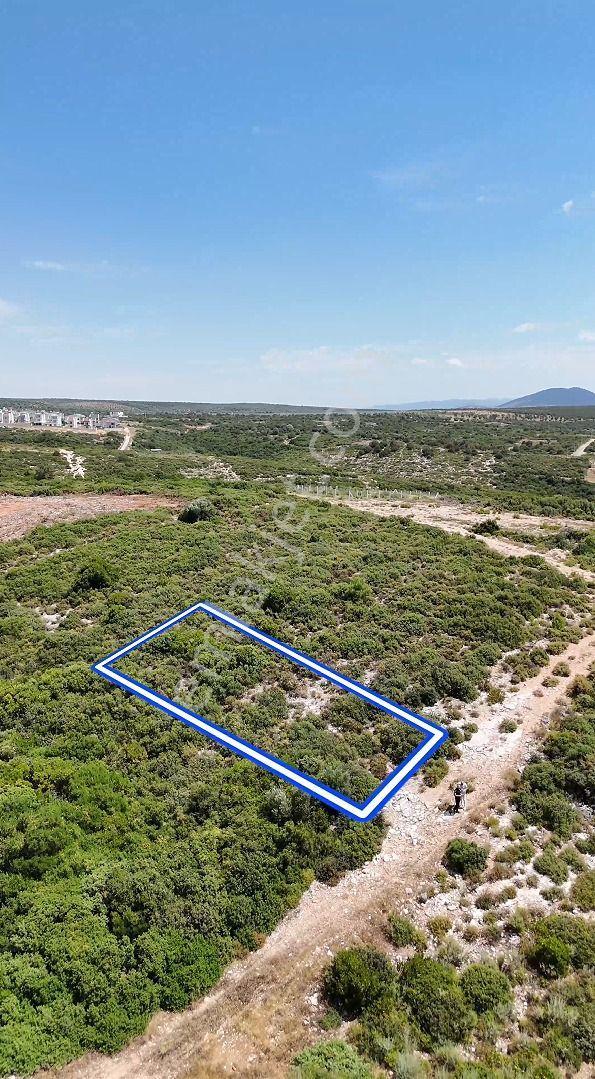 Didim Akyeniköy Bozseki 300 M2 Satılık Su Elektirik Mevcut - Görsel 5