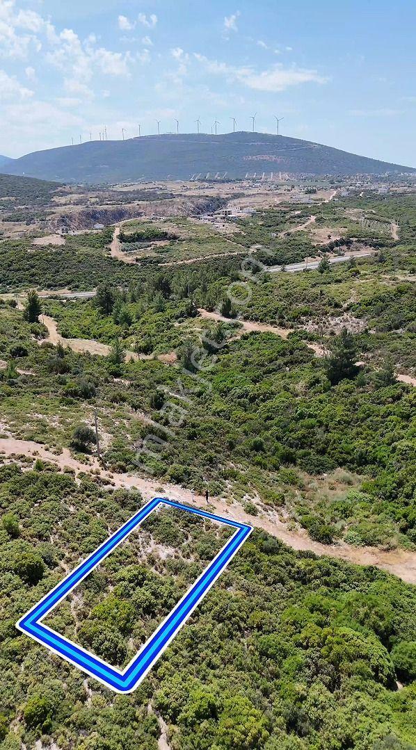 Didim Akyeniköy Bozseki 300 M2 Satılık Su Elektirik Mevcut - Görsel 8