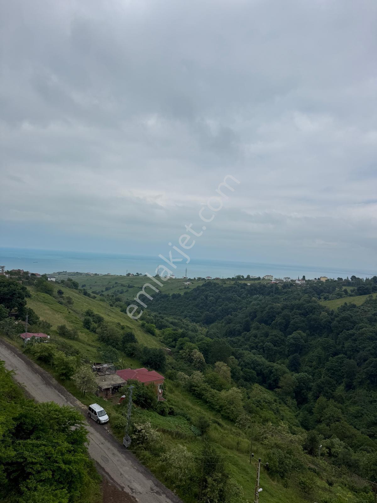 Canik Hasköy 1+1 Ful Deniz Ve Doğa Manzaralı Kiralık Daire - Görsel 23