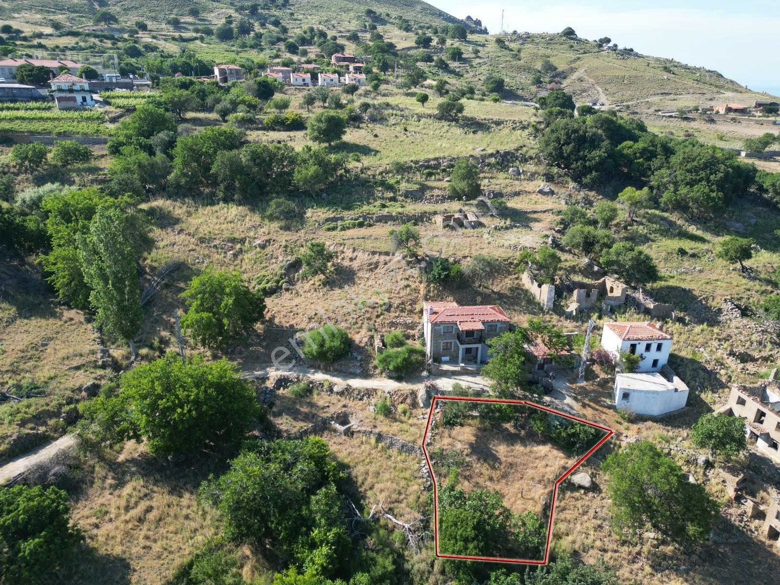 İmroz Emlak'tan Tepeköy Köy İçi 284m2 Yola Cephe Bahçe - Görsel 9