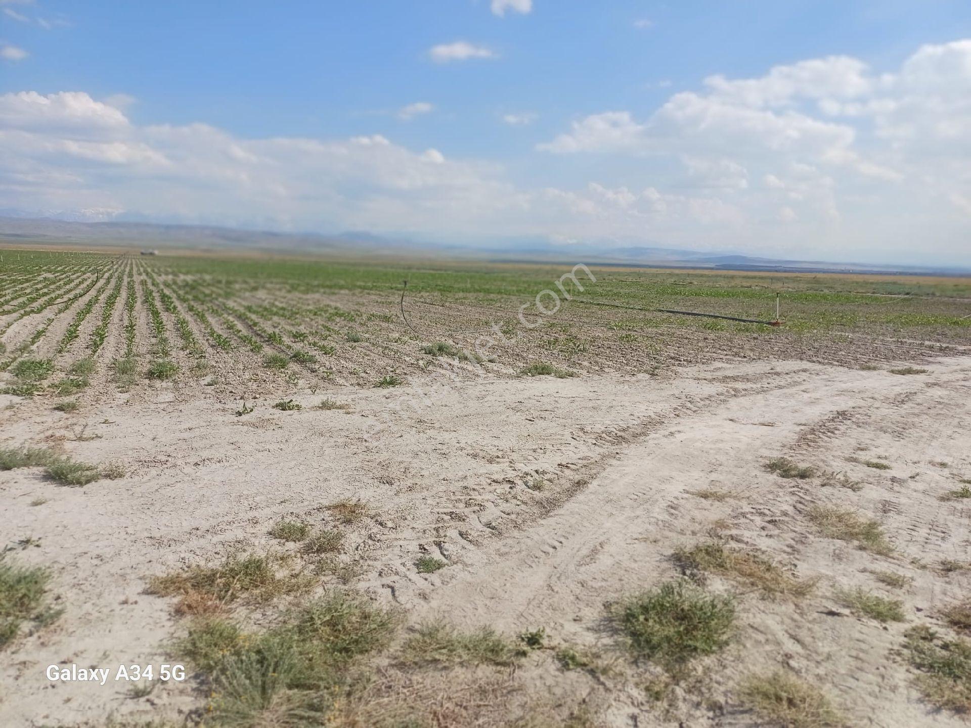 Niğde Bor/seslikaya Da Satılık Tarla - Görsel 7
