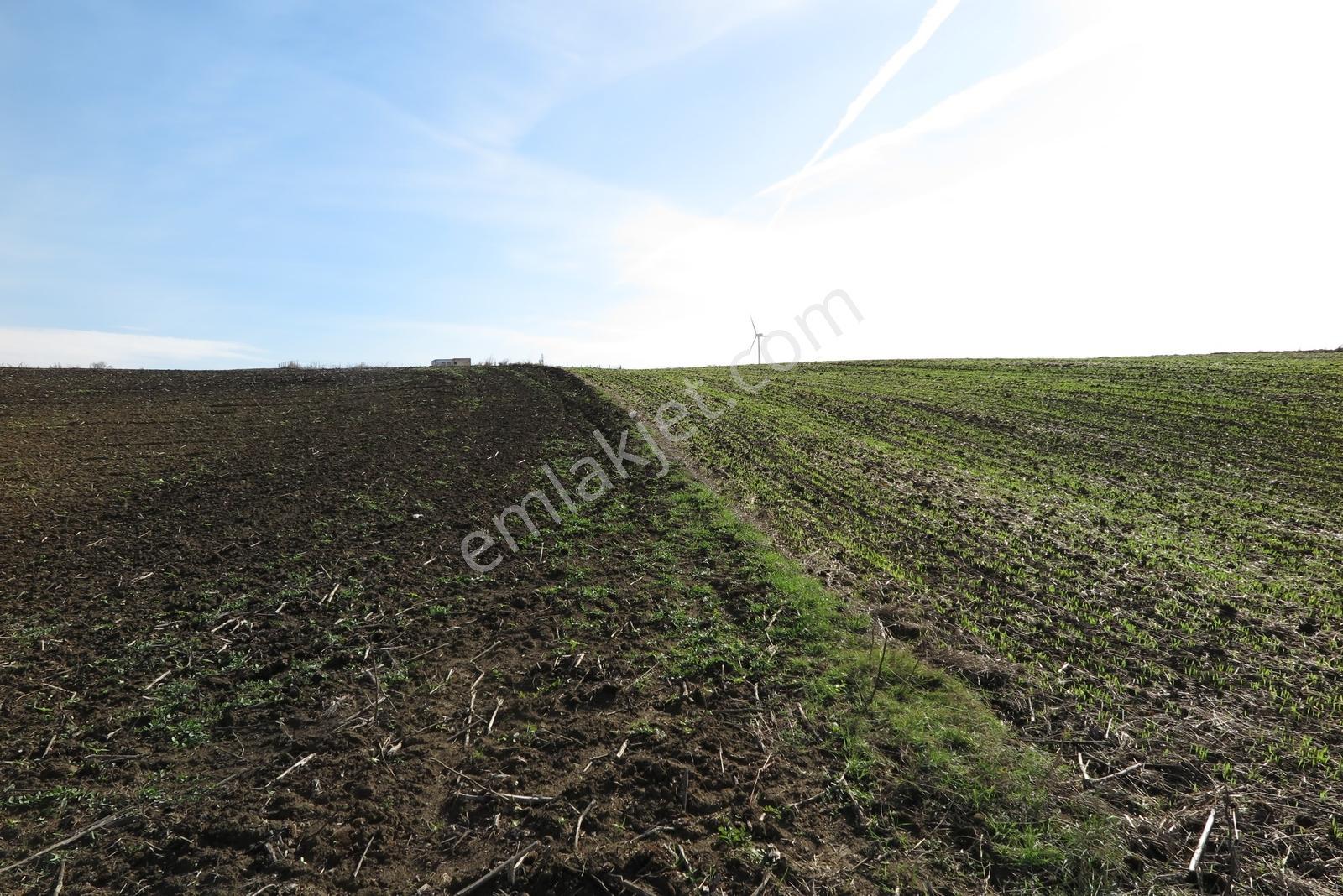 Silivri Kadıköyde Yerleişim İçinde Satılık 1300 M2 Arsa - Görsel 22