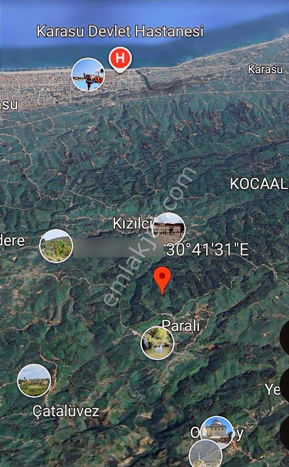 Karasu Paralı'da 7120m2 Fındıklık - Görsel 13