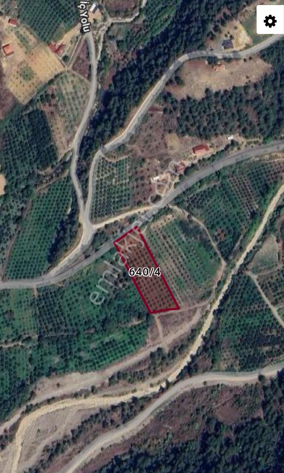 Geyve Burhaniye Mahallesinde Asfalt Yol Cepheli Ayva Bahçesi - Görsel 3