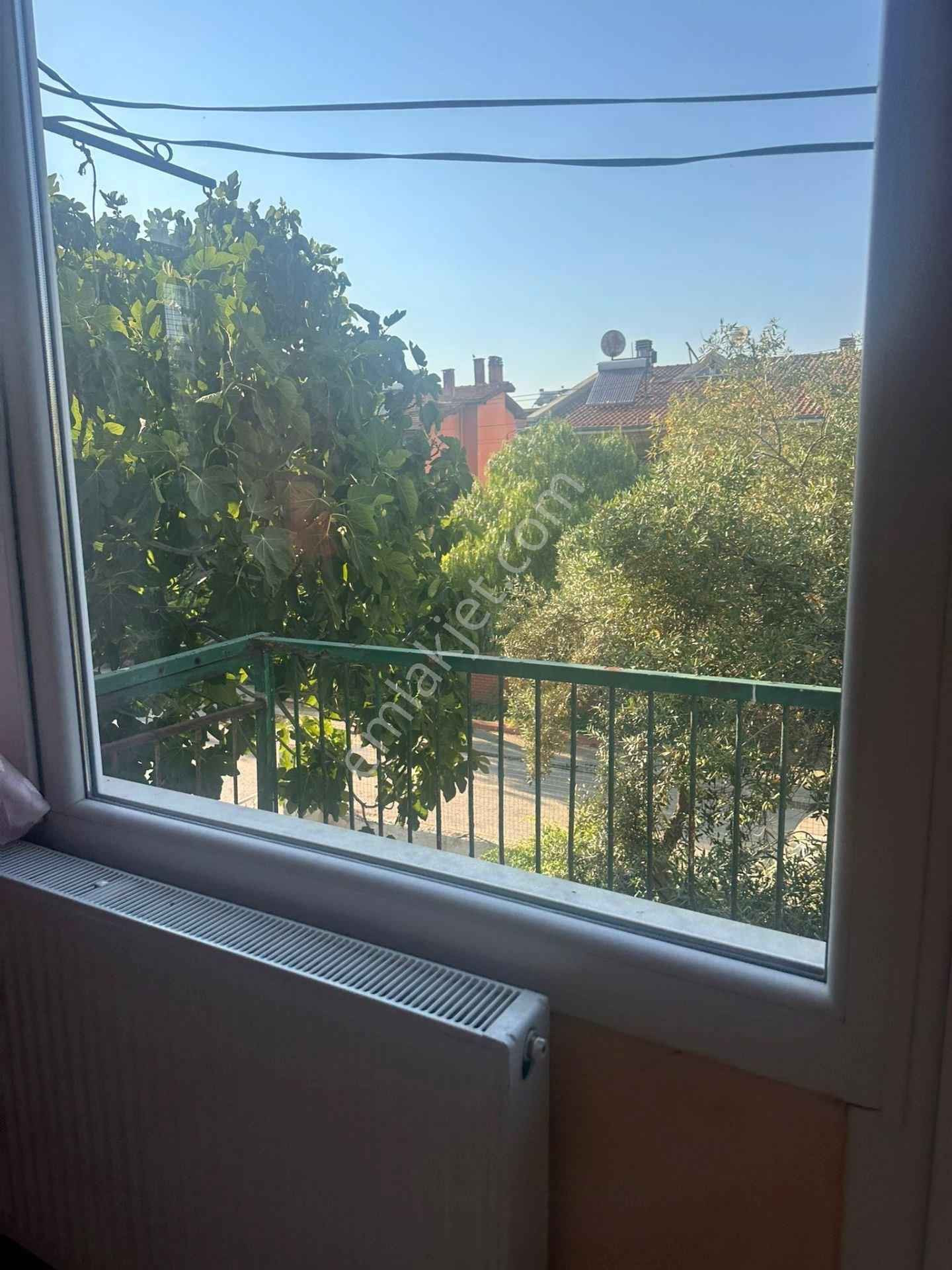 Güzelbahçe Yalı'da Eşyalı Yazlık - Görsel 25