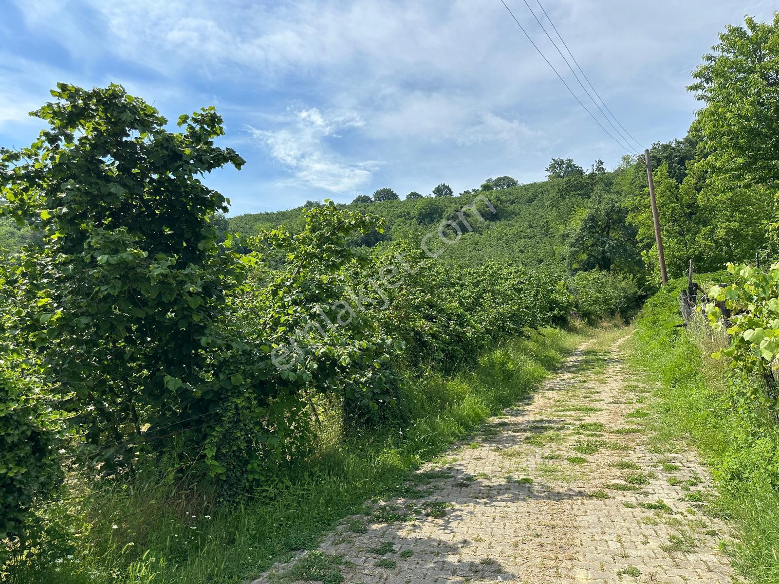 Aynalıda Muhteşem Manzaralı Satılık 2 Kat İmarlı 3,067 M2 Arsa - Görsel 10
