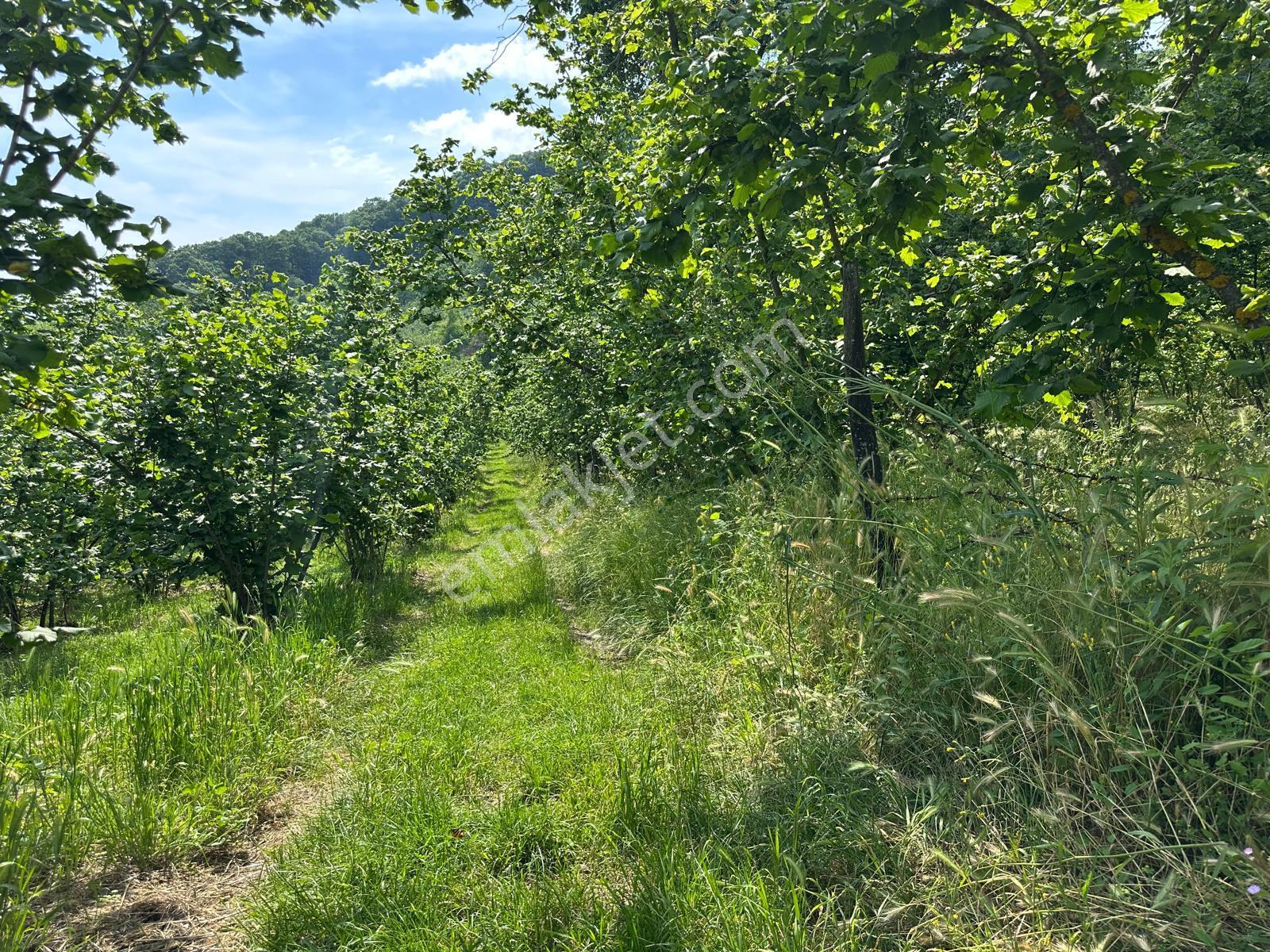 Aynalıda Muhteşem Manzaralı Satılık 2 Kat İmarlı 3,067 M2 Arsa - Görsel 11