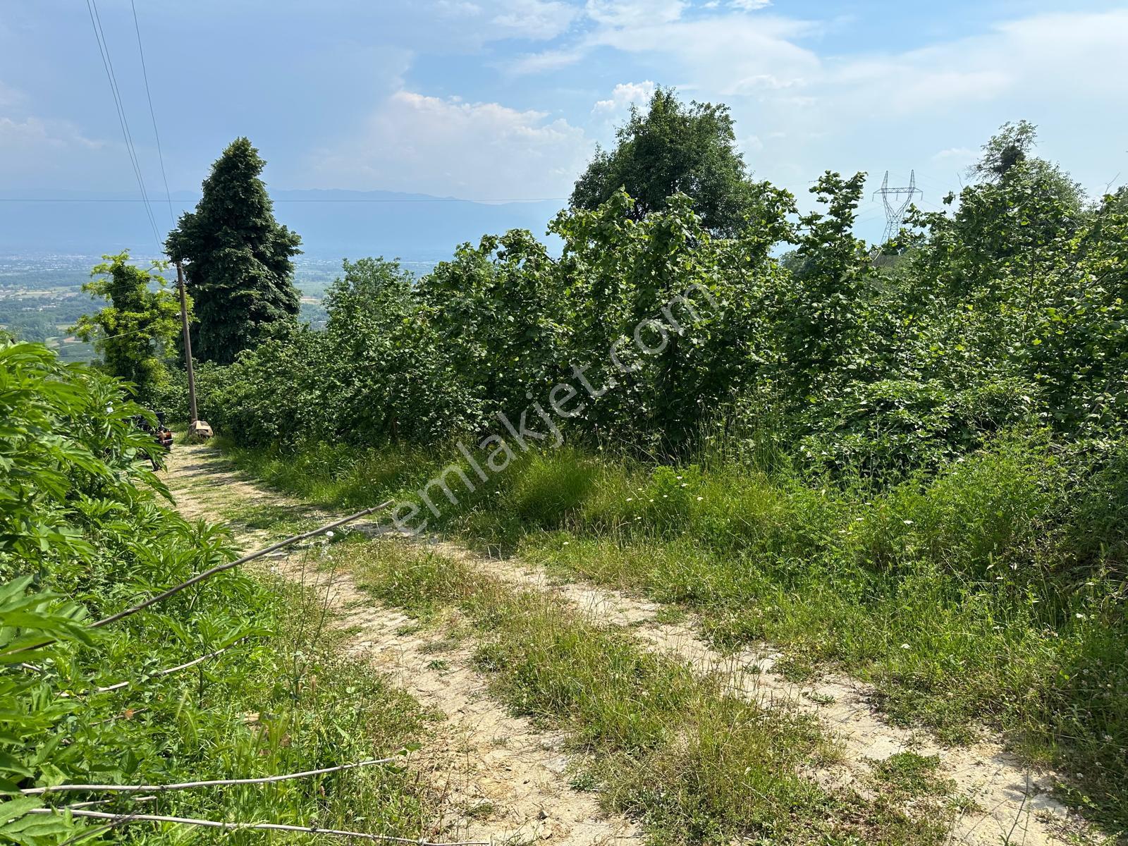 Aynalıda Muhteşem Manzaralı Satılık 2 Kat İmarlı 3,067 M2 Arsa - Görsel 14