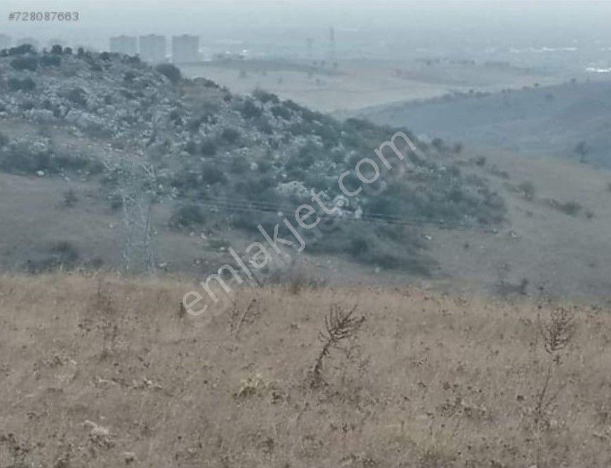 Balıkesir Krs Ziyaretli Mh Tokiler Civarı 9200m2 Satılık Tarla - Görsel 6