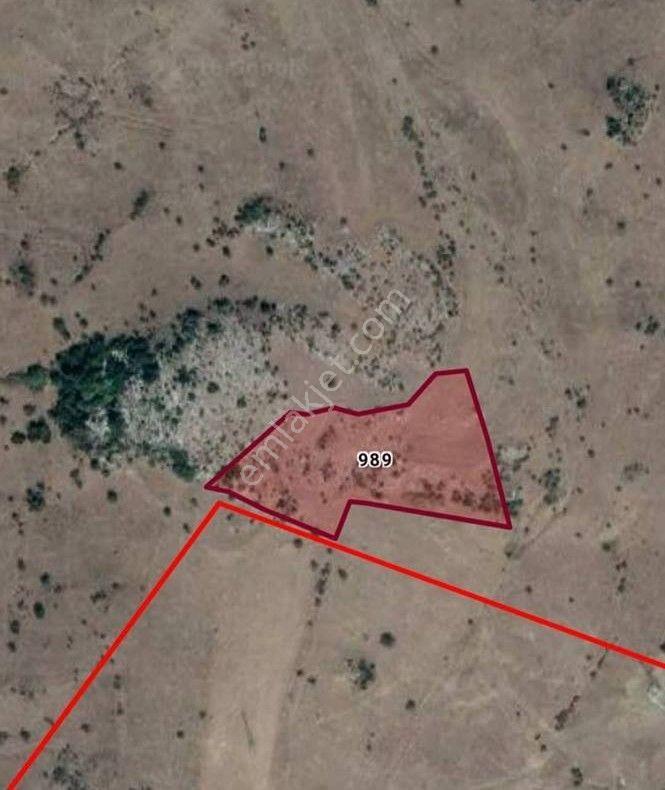 Balıkesir Krs Ziyaretli Mh Tokiler Civarı 9200m2 Satılık Tarla - Görsel 3