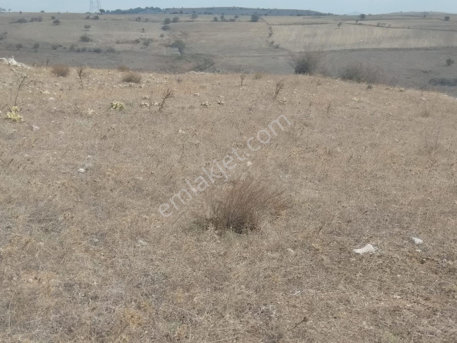Balıkesir Krs Ziyaretli Mh Tokiler Civarı 9200m2 Satılık Tarla - Görsel 12
