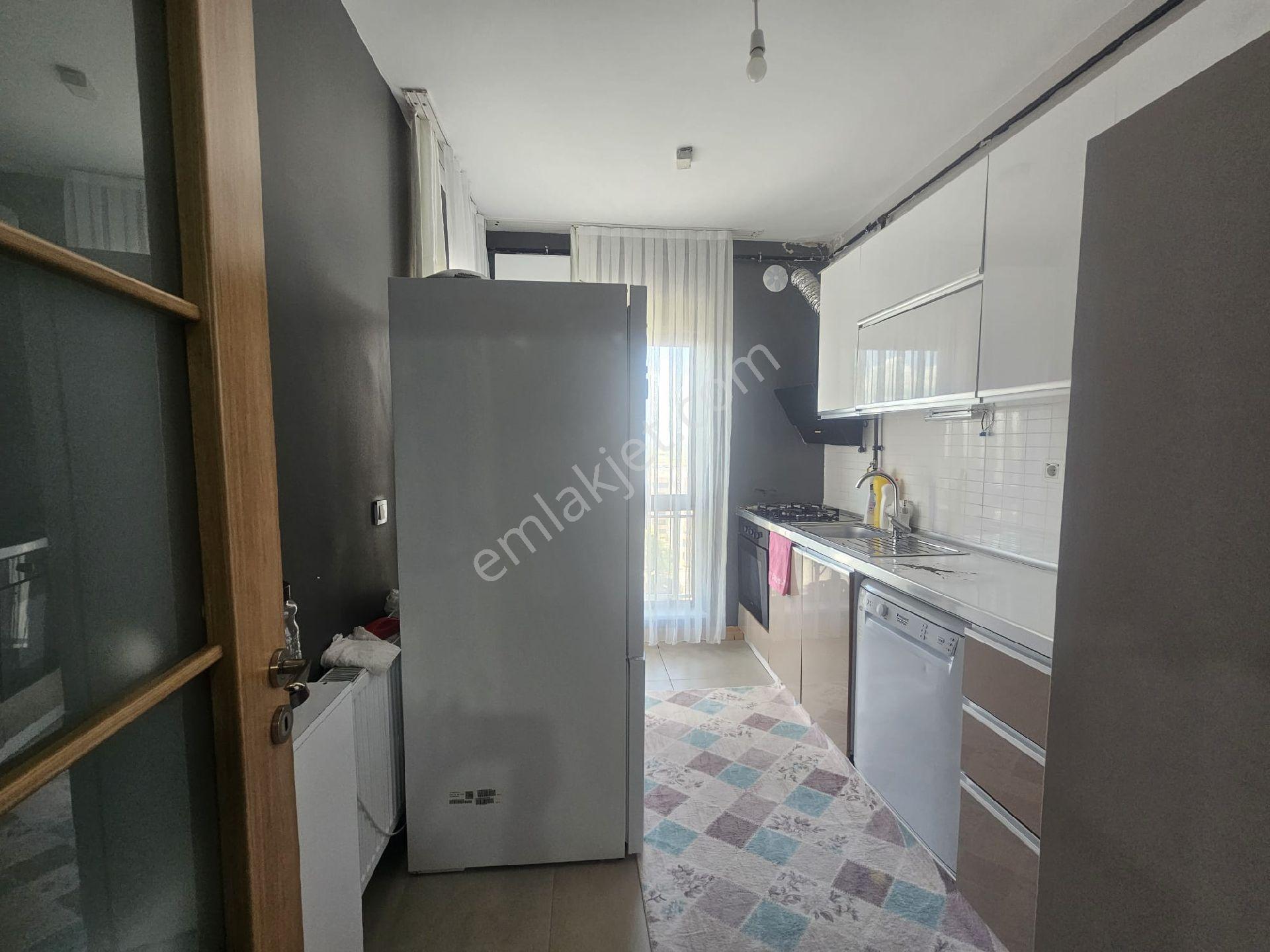 Çöl Güzeli 6 Yıllık Toki'de - Görsel 21