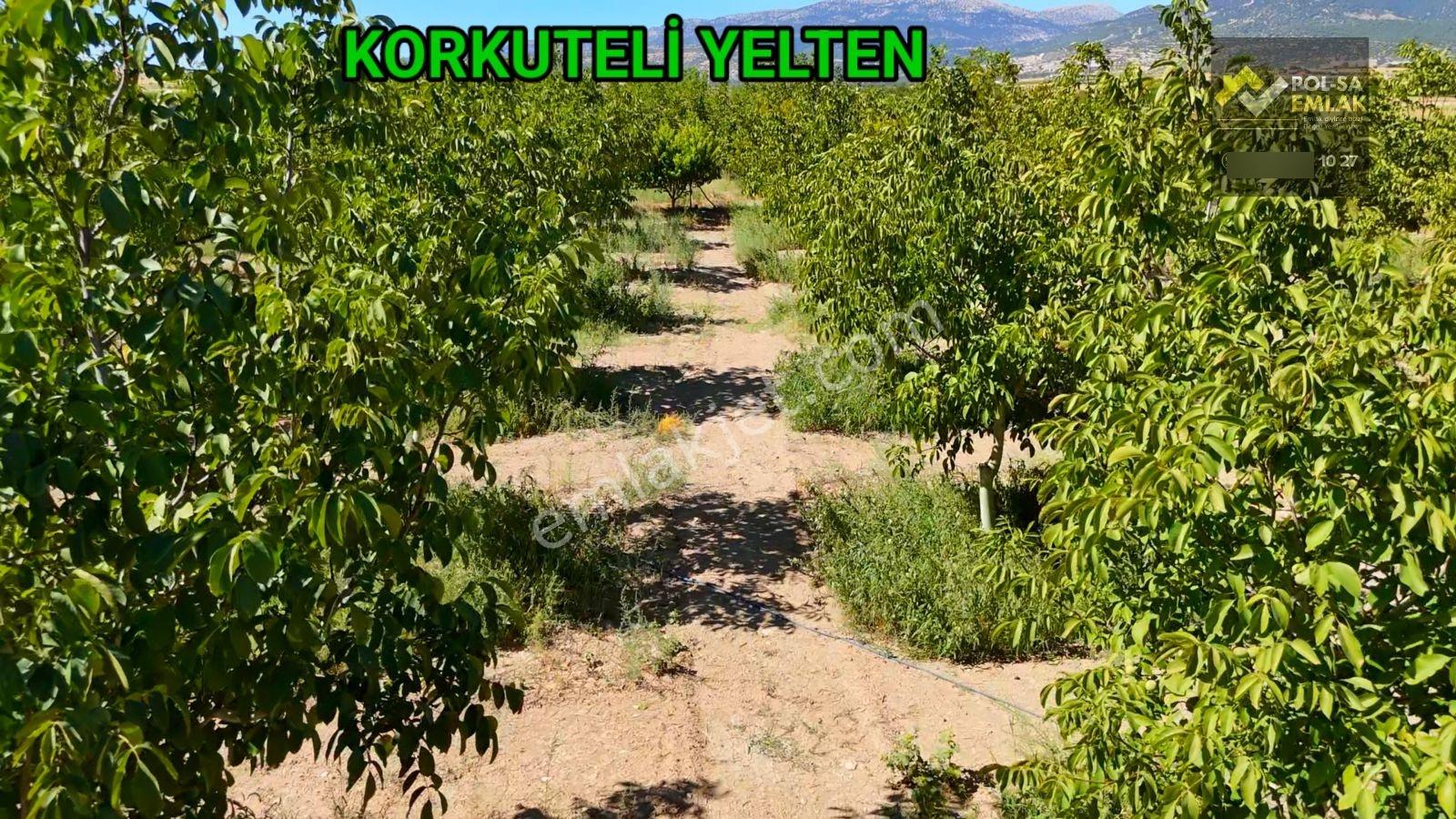 Korkuteli Yelten'de Satılık 5.024m2 Bahçe Kurulu Düzen - Görsel 15