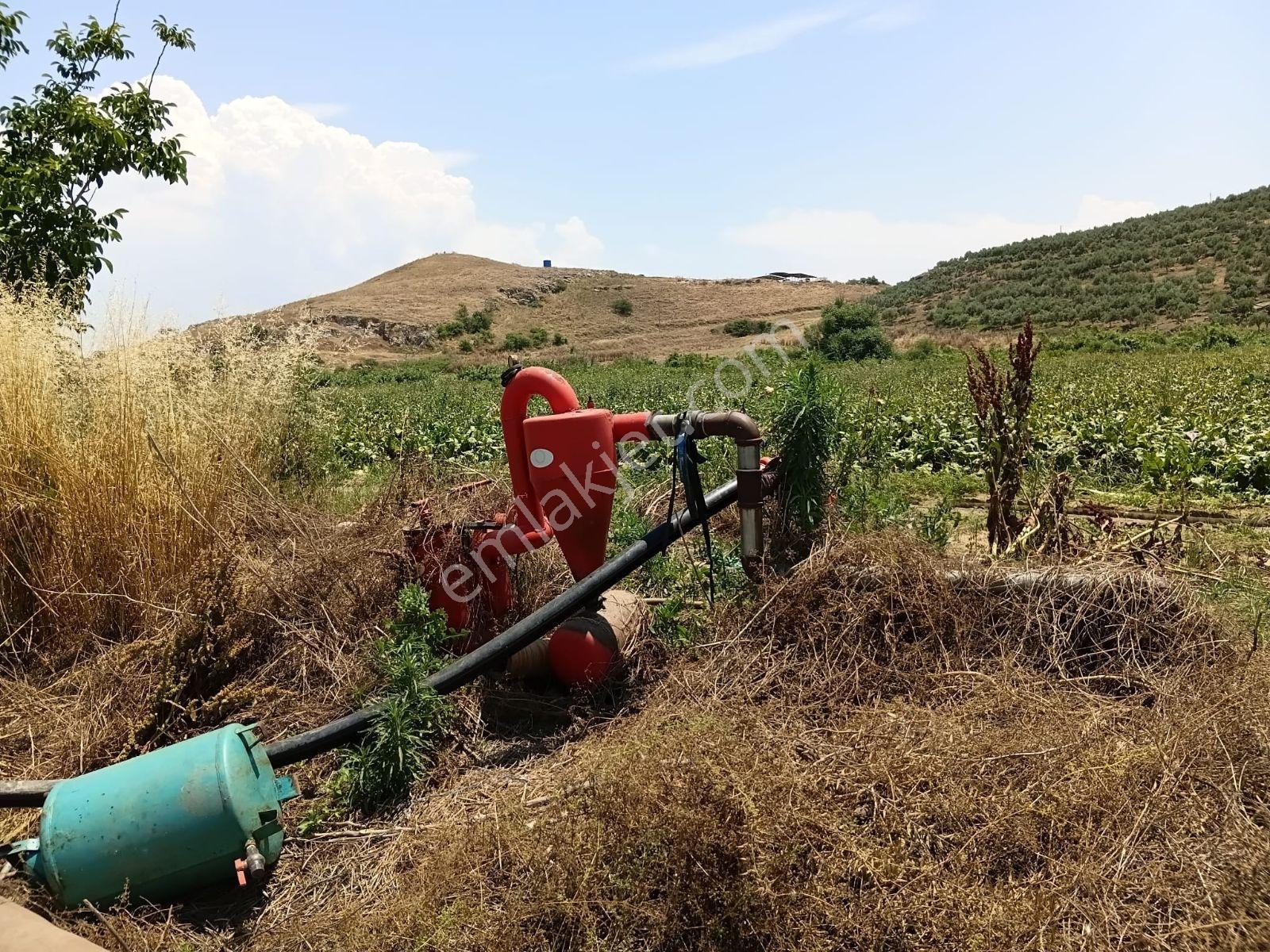 Güneş Gayrmenkulden 17157 M2 Verimli Ovada, Fırsat Tarım Arazisi - Görsel 20