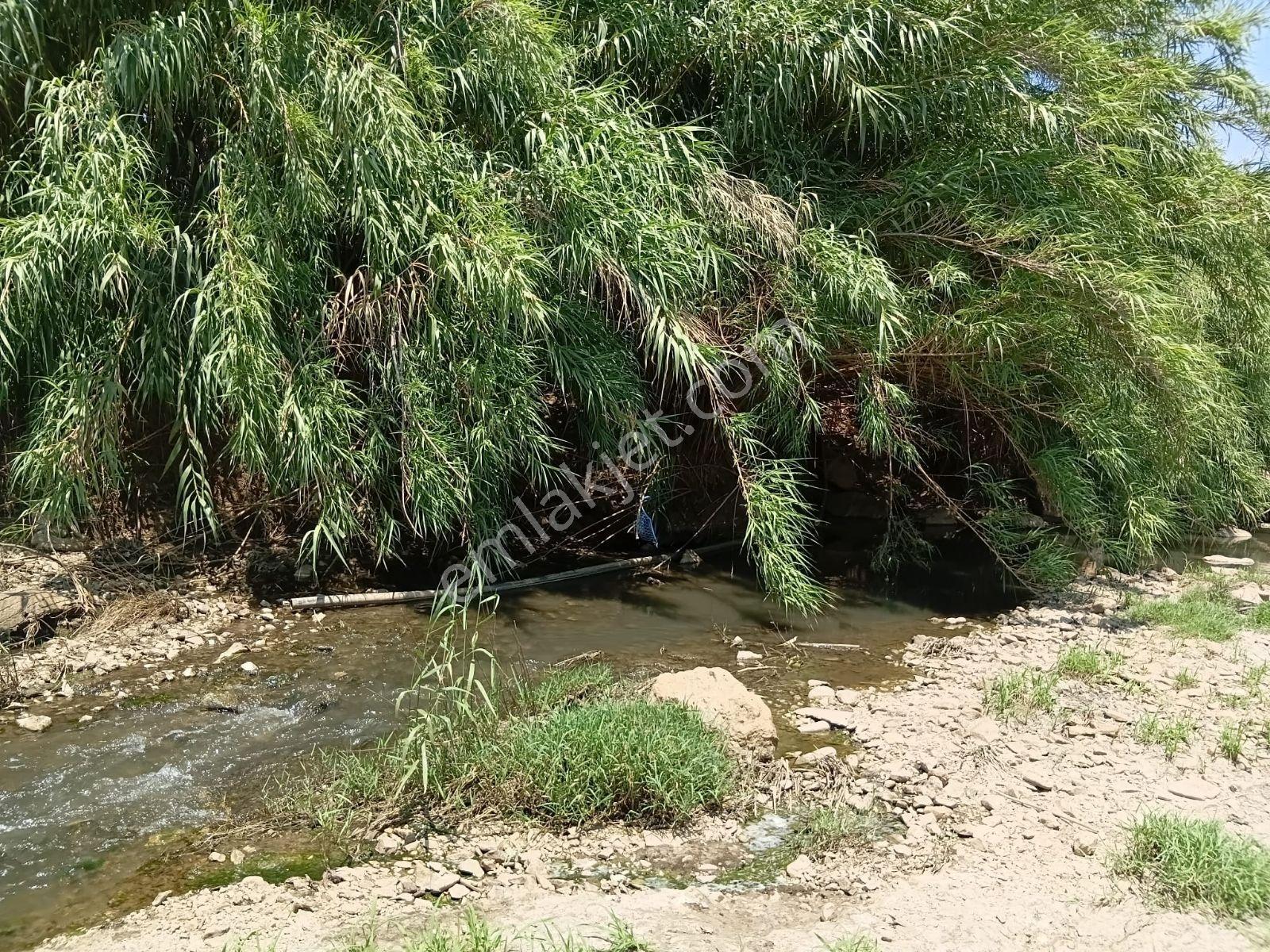 Güneş Gayrmenkulden 17157 M2 Verimli Ovada, Fırsat Tarım Arazisi - Görsel 16