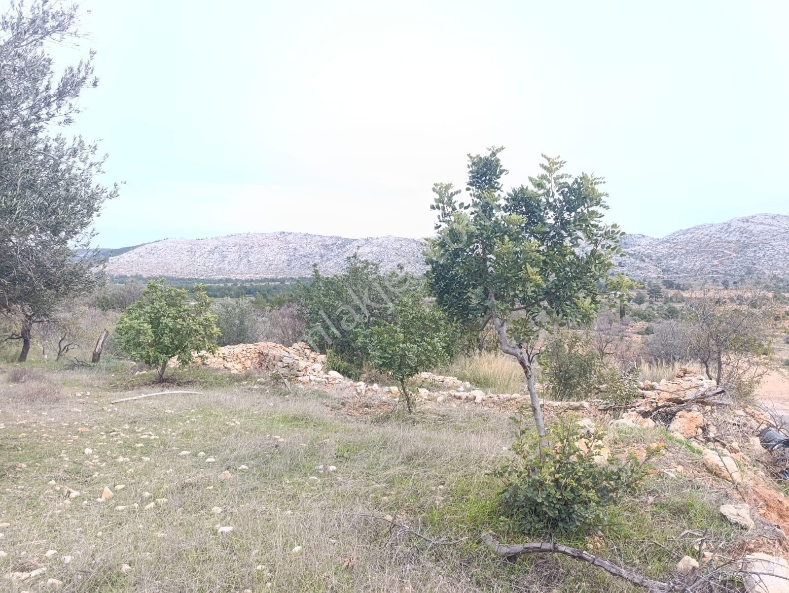 Karakuş Emlaktan Karaseki'de 2320 M² Yatırımlık Satılık Arsa - Görsel 24