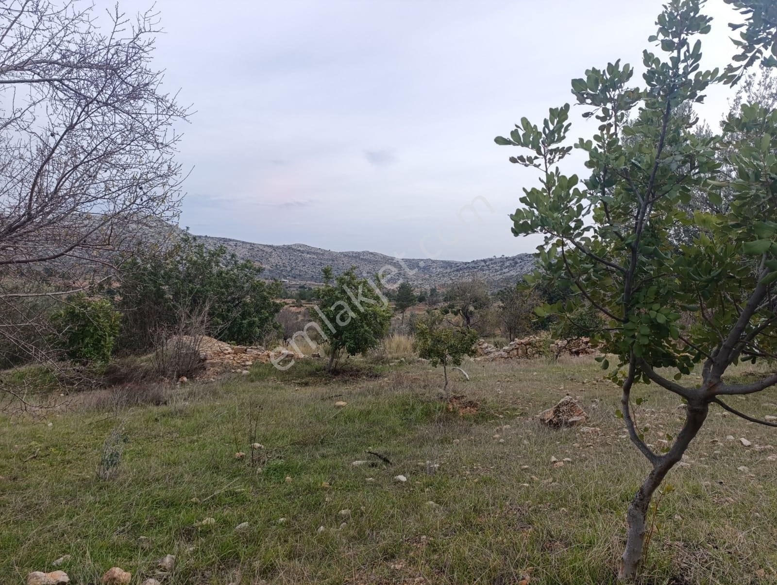 Karakuş Emlaktan Karaseki'de 2320 M² Yatırımlık Satılık Arsa - Görsel 8