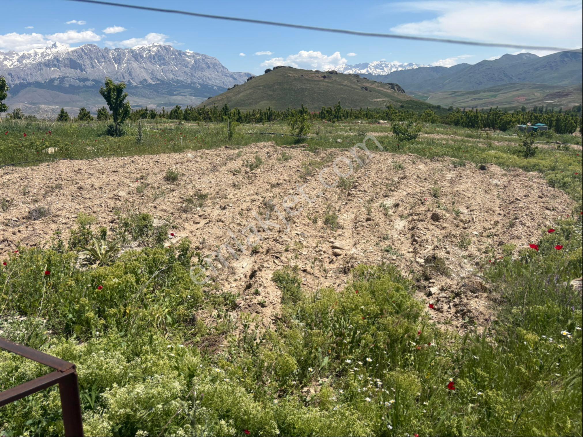 Niğde Çamardı Satılık Yaylalık Arsa Evli - Görsel 14