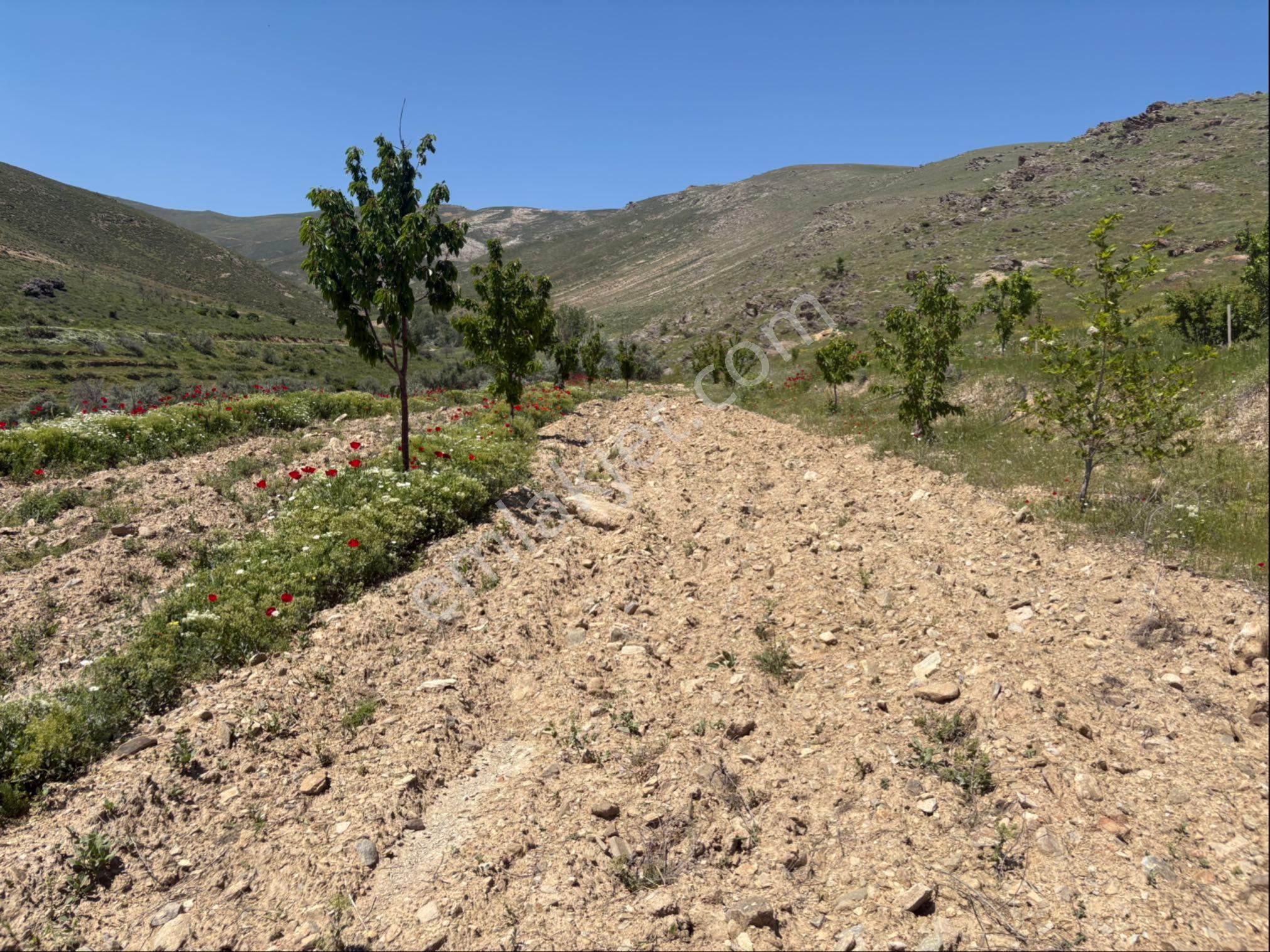 Niğde Çamardı Satılık Yaylalık Arsa Evli - Görsel 13