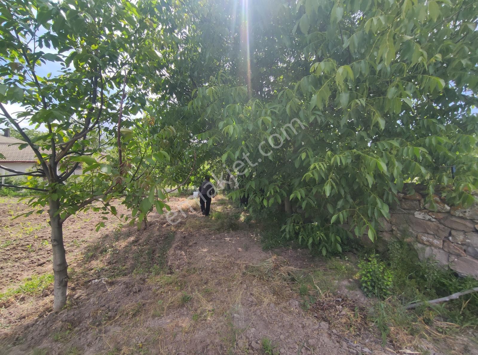 Özpınar.dan 1408 M2 Üç Tapu 2 Katlı 2 Takım Köy Evi Ve Sulubahçe - Görsel 13