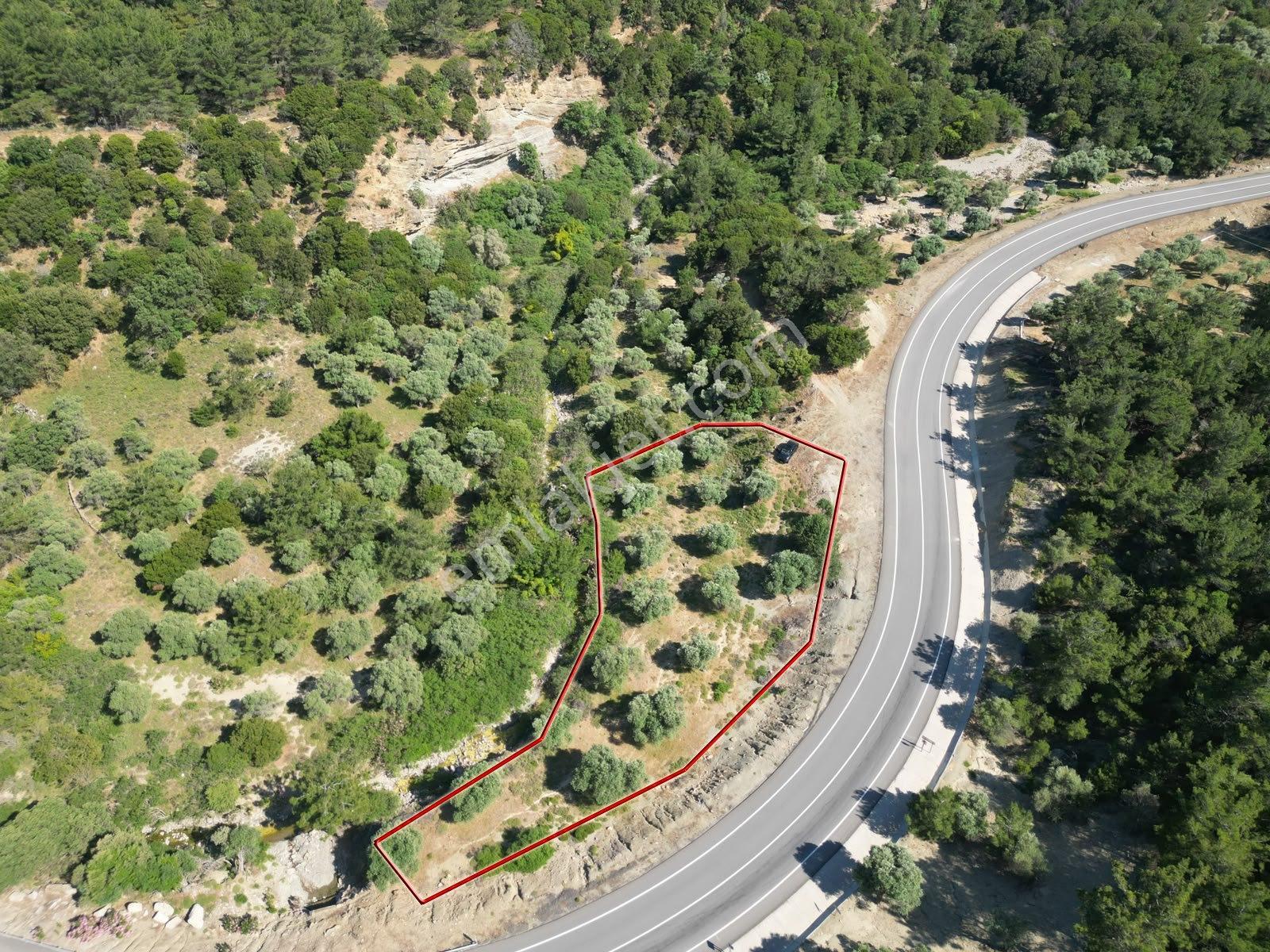 İmroz Emlak'tan Asfalt Yola Sıfır 1.680m2 Zeytinlik - Görsel 6