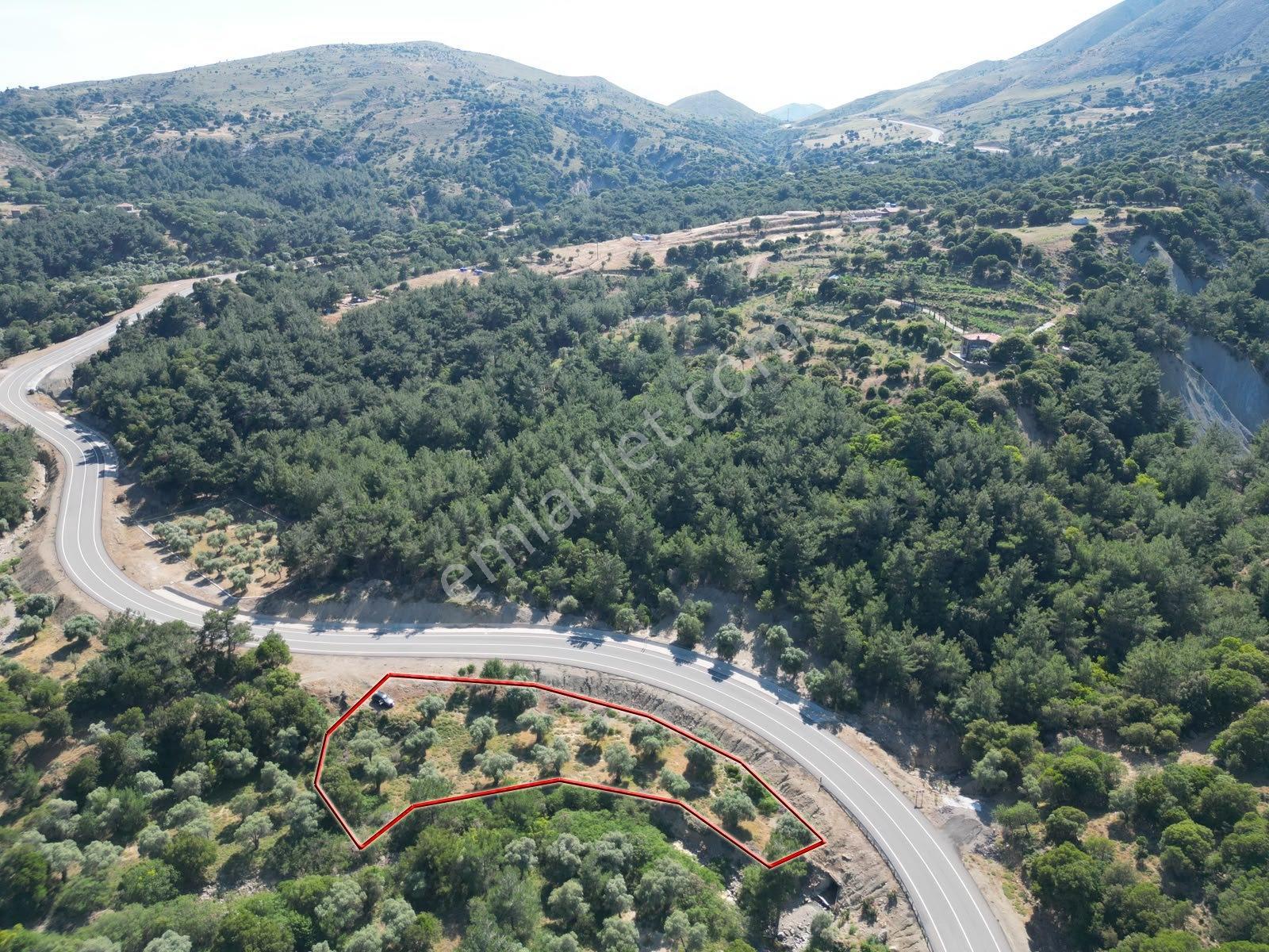 İmroz Emlak'tan Asfalt Yola Sıfır 1.680m2 Zeytinlik - Görsel 12