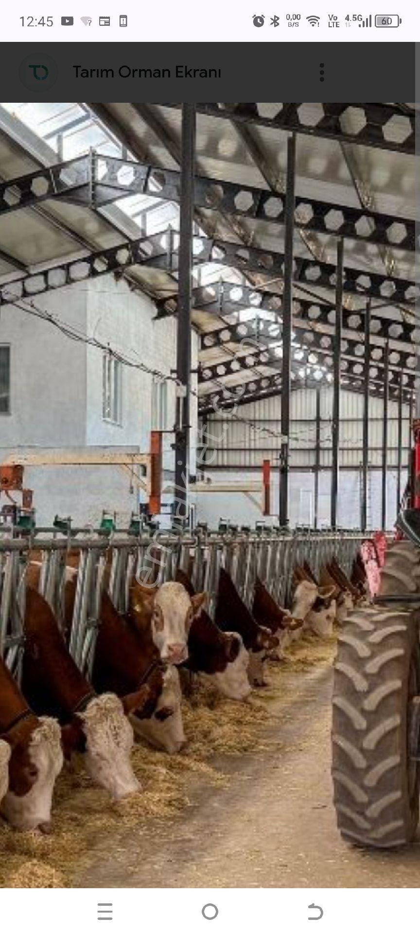 My Ekipden Başkuyuda Satılık İki Yola Cephe Ev Yeri - Görsel 24