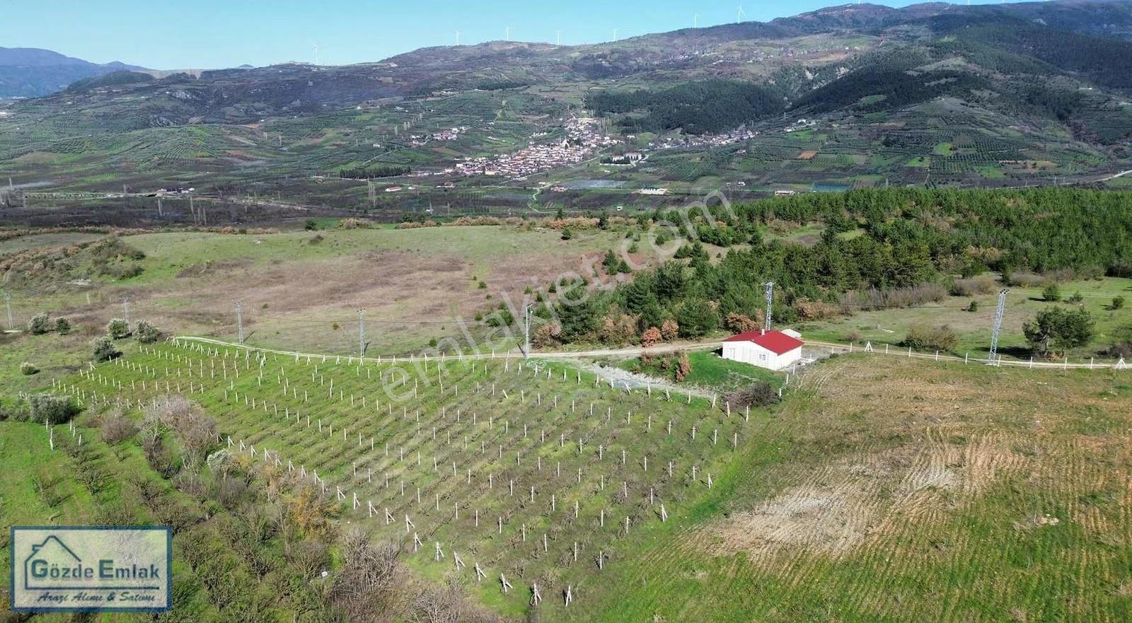 Geyve Ahibaba Akseki Altı 90m2 Prefabrik Ev Ve 3.379m2 Arazisi - Görsel 18