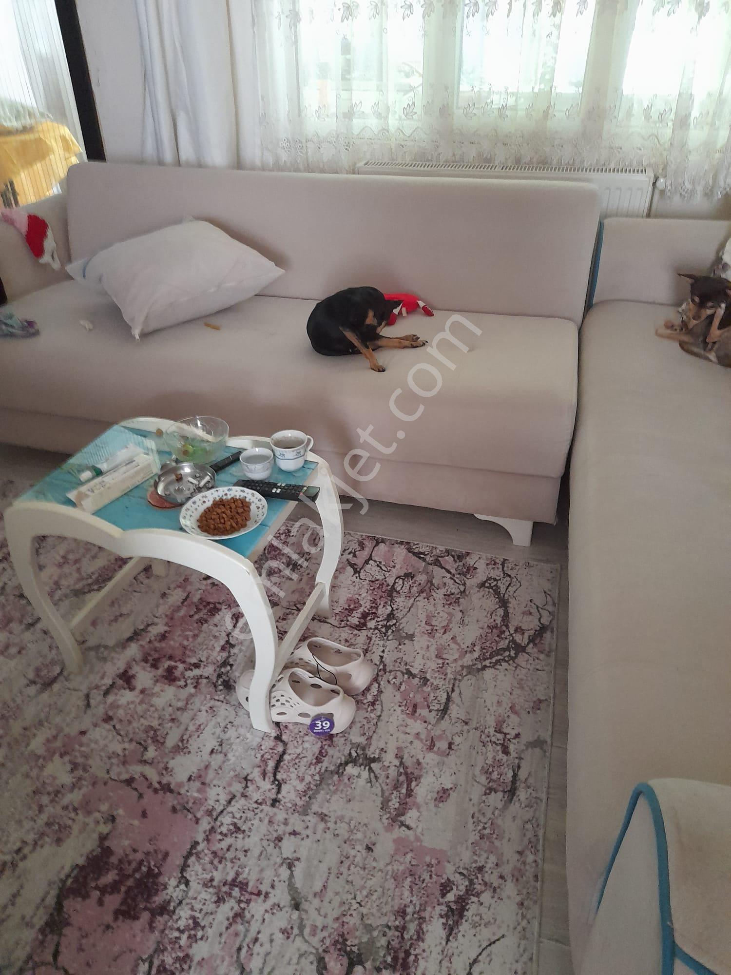 Kumbağ Müstakil 2 Adet Daire - Görsel 15