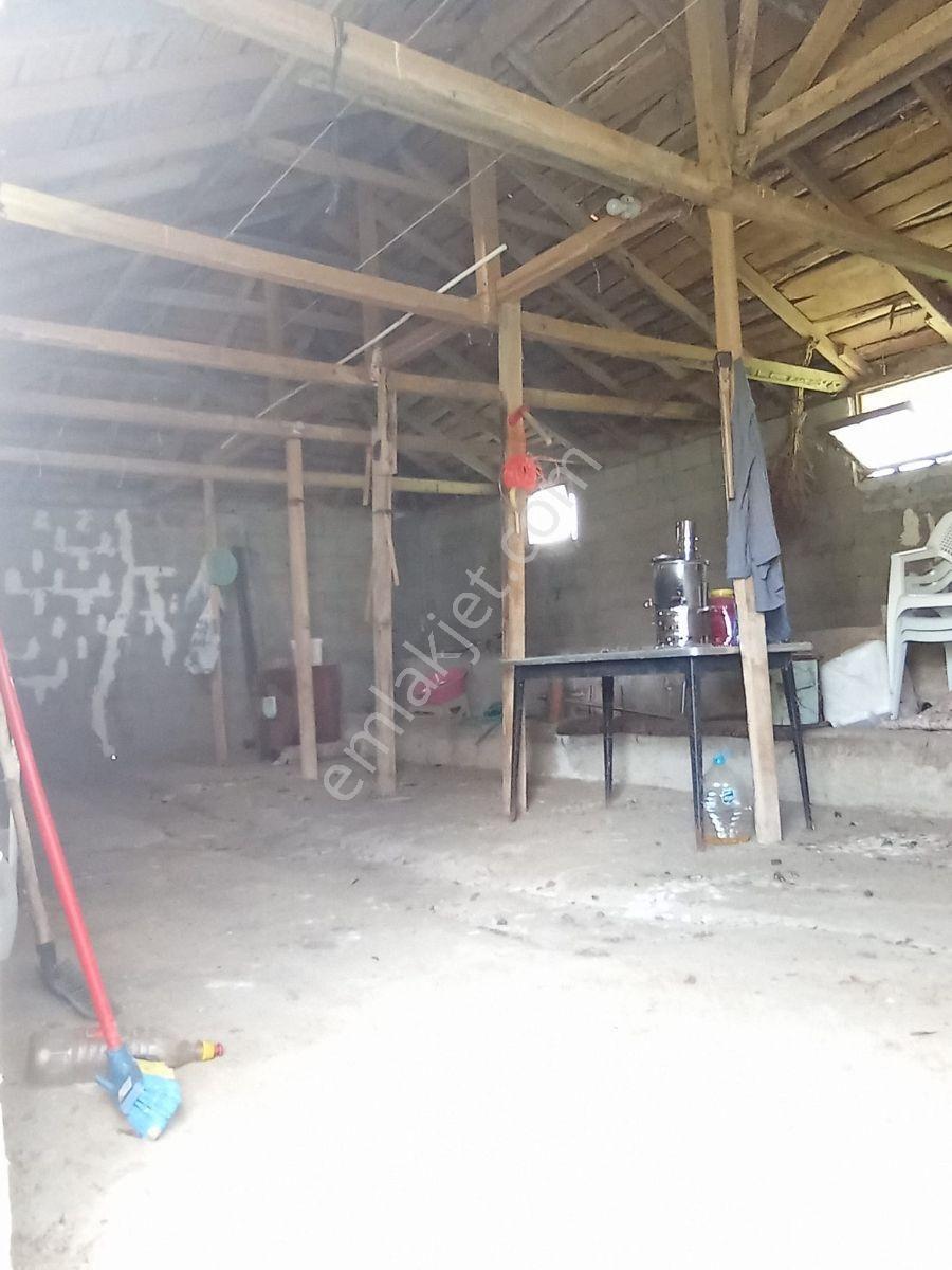 Emlakyap Tan Merkez Koyunbaba Da Satılık Köy Evi Ve Arsası - Görsel 18
