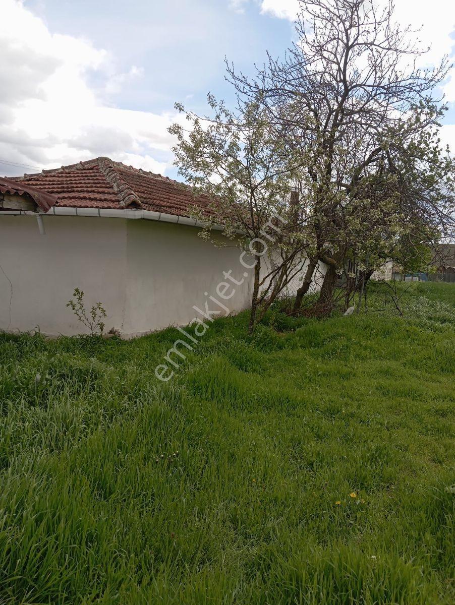 Emlakyap Tan Merkez Koyunbaba Da Satılık Köy Evi Ve Arsası - Görsel 17