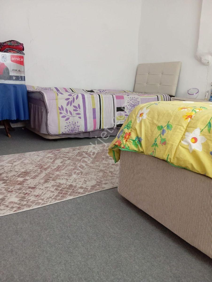 Emlakyap Tan Merkez Koyunbaba Da Satılık Köy Evi Ve Arsası - Görsel 8