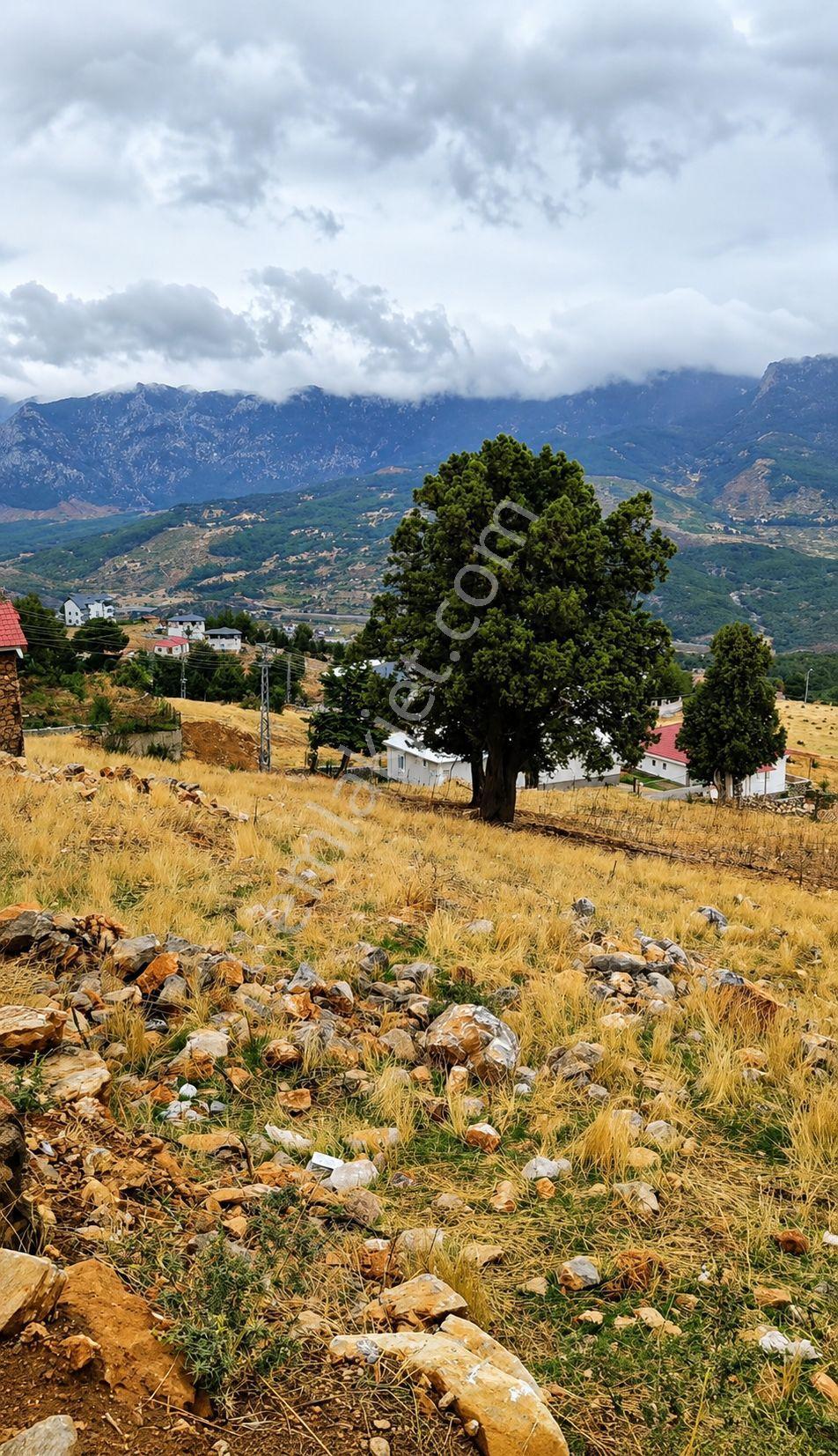 Yenikonacık Bozkırlıda